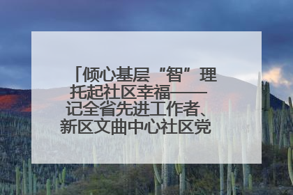 倾心基层“智”理 托起社区幸福——记全省先进工作者、新区文曲中心社区党委书记董世弘